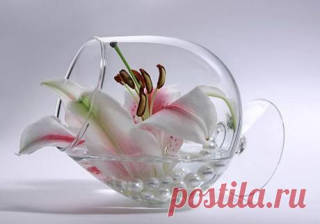 i-101389.jpg (600×421)