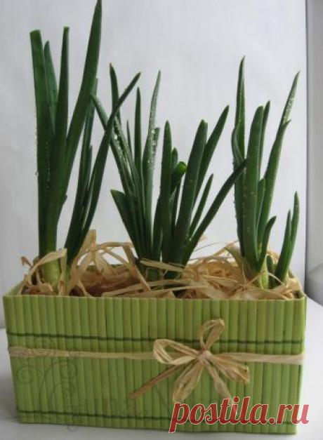 Делаем весеннюю корзиночку – Ярмарка Мастеров
