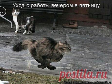 Ура!выходные!