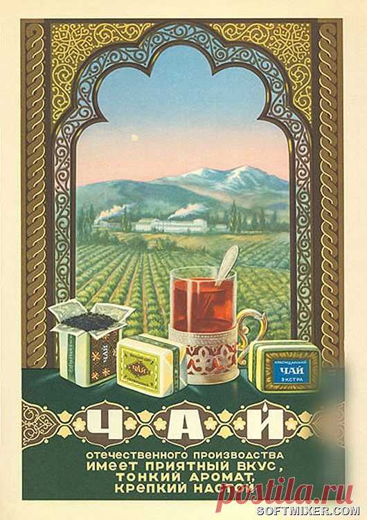 Чай. Каталог 1956 года / Назад в СССР / Back in USSR
