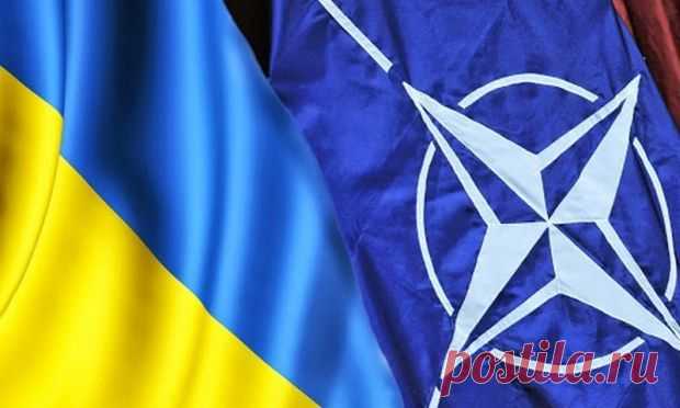 Украина помещена в фокус координированных усилий США, НАТО и Евросоюза | Выживи сам