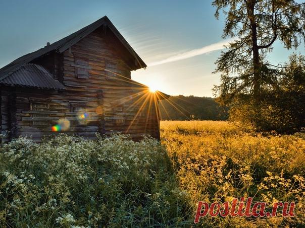 Восход в заброшенной деревне Ведягино, Архангельская область. Автор фото – Михаил Прохоров.