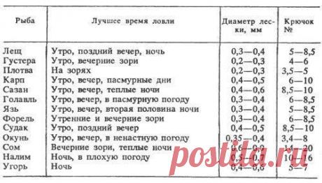 Полезно знать!