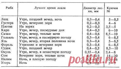 Полезно знать!