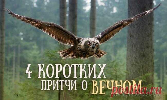 Краткой мудрости пост