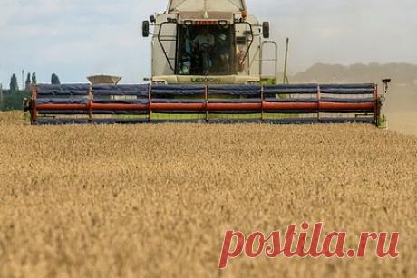 В Турции выразили уверенность в продлении зерновой сделки. В Турции выразили уверенность в продлении зерновой сделки. По словам министра обороны Халуси Акара, Турция верит, что переговорный процесс завершится положительно, поскольку видит позитивный подход сторон к продлению зерновой сделки и верит в ее продление после 18 марта.