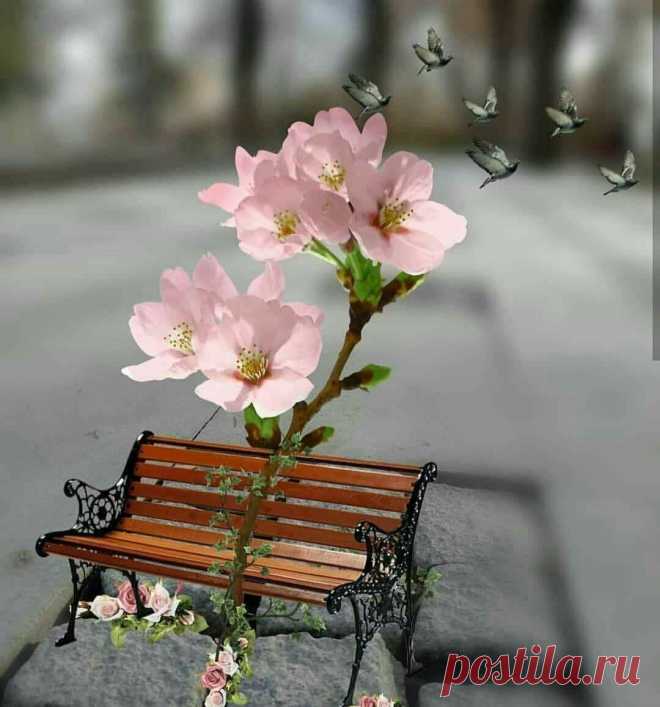cute beautiful things for dp – Google Поиск