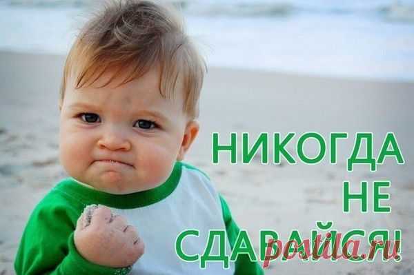 Бесплатный Курс "12 Ошибок Начинающего Дистрибьютора"
Примите сегодня же решение, что вы намереваетесь стать в своем ремесле вечным студентом и до конца жизни собираетесь продолжать обучение и становиться всё лучше и лучше