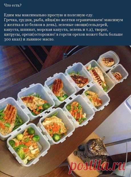 Новости