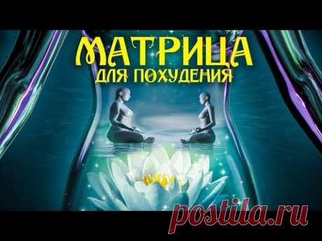 Сильнейшая Матрица Гаряева для Снижения Аппетита 🌀 с Гипнотической Медитацией для Похудения