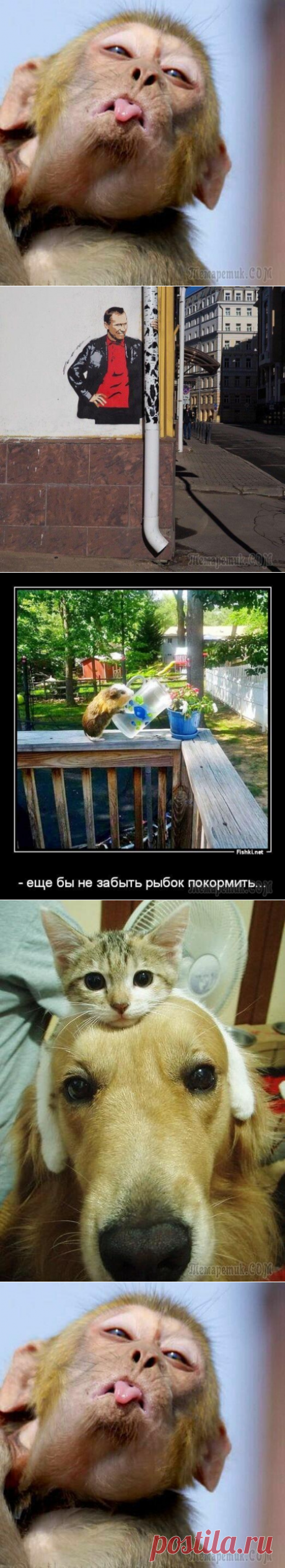 ШУТКИ ОТ ЛЕТА