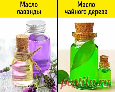 10 простых способов быстро отрастить красивые брови