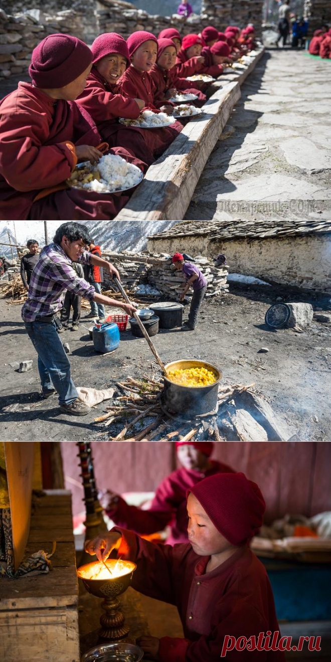 Общепит по-буддистски