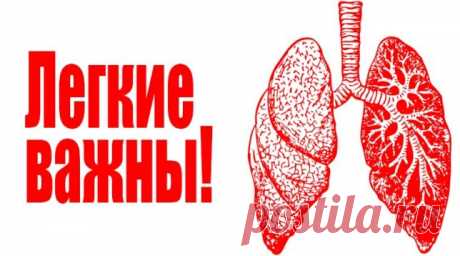 Как очистить легкие после курения - народные способы