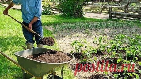 (59) Одноклассники
