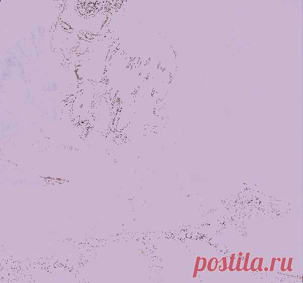 Старый, добрый шлягер «Голуби целуются на крыше». 

..Умоляю, ради Бога, тише!
Голуби целуются на крыше…
Вот она, сама любовь ликует –
Голубок с голубкою воркует.....