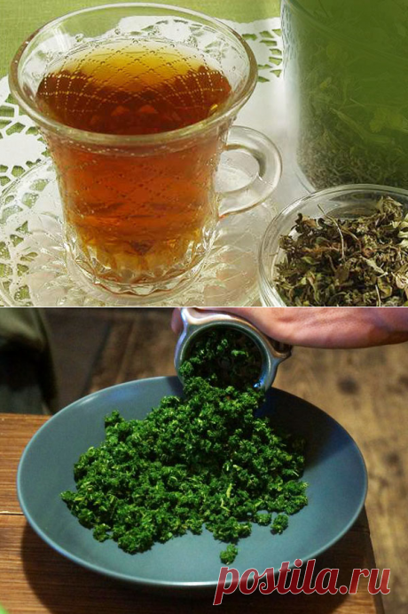 Как ферментировать листья смородины :: Чай и кофе :: Чай и кофе