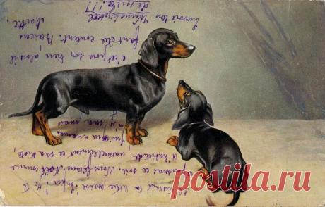 Найдено на сайте flickr.com.