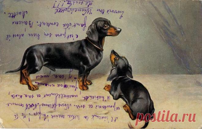 Найдено на сайте flickr.com.