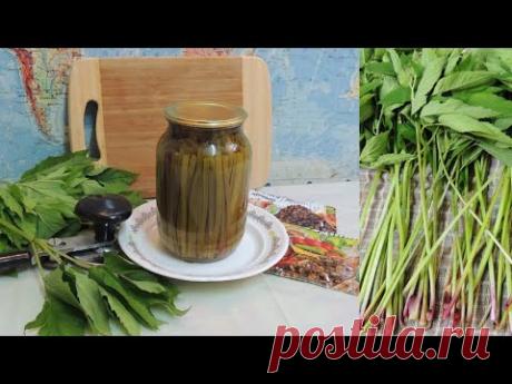 Деликатес: СНЫТЬ 🌿 МАРИНОВАННАЯ на 🎅🎄 зиму. Готовим  👩‍🍳 из дикоросов. (Aegopodium podagraria).