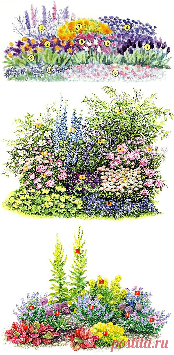 Схемы цветников