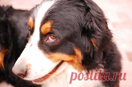 Это такая кокетка ...