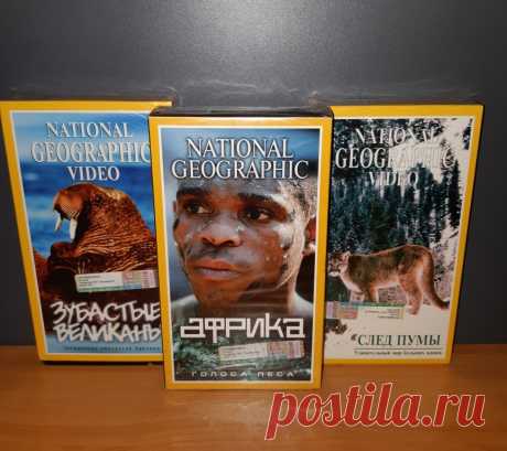 Кинотрилогия. National Geographic Video. Кассеты VHS. 2000 год. 
Продажа одним лотом. 

Цена : 500 руб. 

Купить сейчас : 

#КинотрилогияNationalGeographicVideo 
#NationalGeographicVideo 
#NationalGeographicVideoКассетыVHS 
#NationalGeographicVideo2000год #видеокассетыVHS