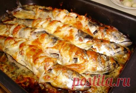 Скумбрия, запеченная с майонезом и сыром  
Отличный рецепт ароматной рыбы скумбрии, запеченной с майонезом и копченым сыром.