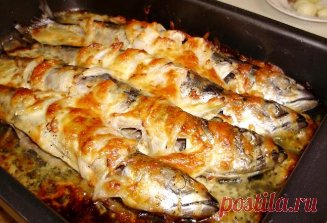 Скумбрия, запеченная с майонезом и сыром  
Отличный рецепт ароматной рыбы скумбрии, запеченной с майонезом и копченым сыром.