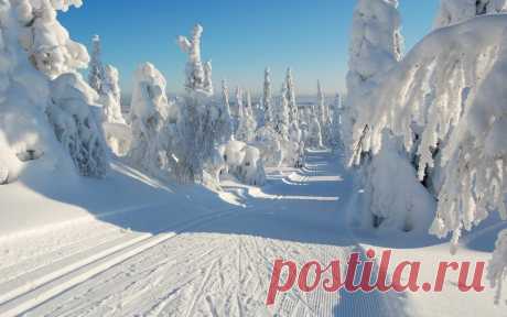 _YM97EdraM0.jpg (960×600)