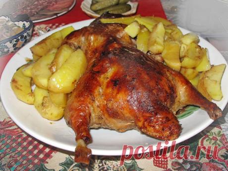 Утка в духовке — Journal women❜s