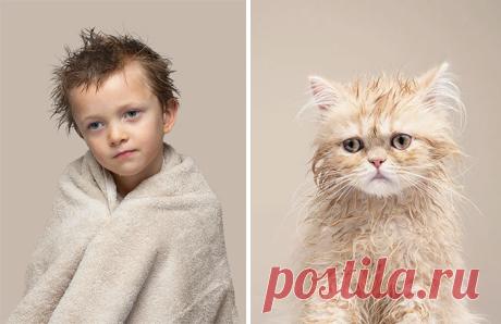 Фотограф делает снимки людей и котов, которые выглядят как двойники | Канобу