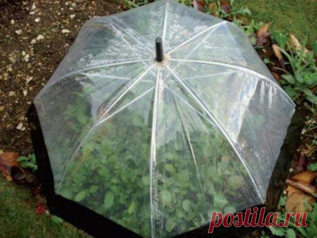 Идеи для дачи из ненужных вещей: 10 лайфхаков | Тренды (Огород.ru)