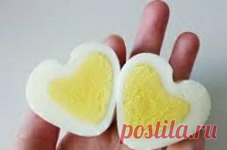 (5) Food Art Delight the Senses - Главная