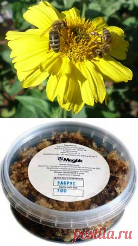 Лечение пчелами - апитерапия | vita-jizn.net
Лечение пчелами в народе применяют уже давно, только слова апитерапия не знали. Мед и его продукты – основные виды пчелопродуктов в народной медицине
Пчелиный яд, воск, гомогенат трутневых личинок, перга, забрус, прополис...