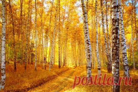 Яркие краски осенней природы
