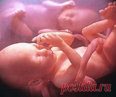 Пародонтоз (пародонтит) | Народная медицина