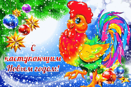 Кому огненный Петух прокукарекает удачу в 2017 году