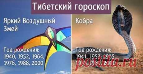 Тибетский гороскоп. 4 секрета мудрецов