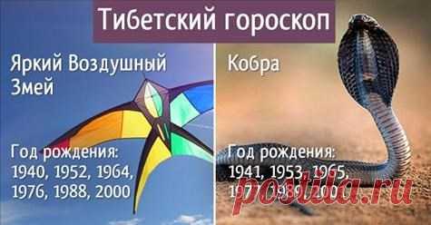 Тибетский гороскоп. 4 секрета мудрецов