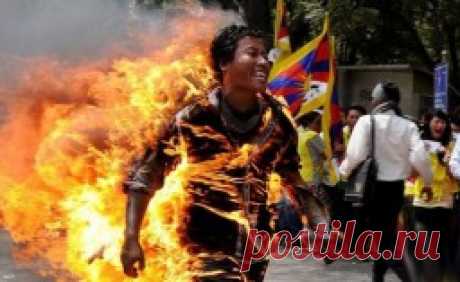 10 фактов о реакции тела на экстремальные и опасные условия — Интересные факты