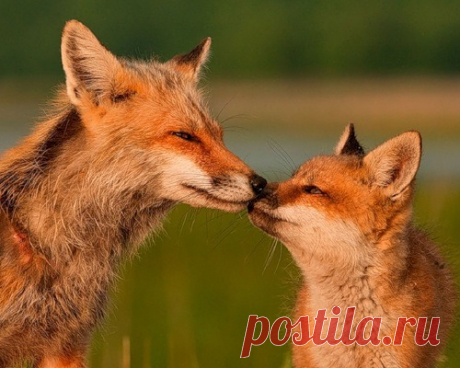 Мой Мир@Mail.Ru