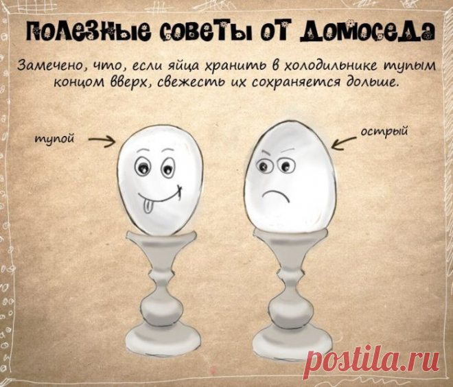 Советы от домоседа - Советы на каждый день