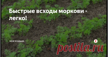Быстрые всходы моркови - легко!  Любой садовод – огородник хорошо знает, что морковь очень долго всходит. Происходит это потому, что в семенах моркови очень много эфирных масел, которые мешают поступлению влаги к зародышу, и это в свою очередь препятствует прорастанию семян моркови. Сроки посева и появление всходов напрямую влияют на количество и качество урожая, и его хранение. Плохо сохраняется зимой морковь раннего срока посад
