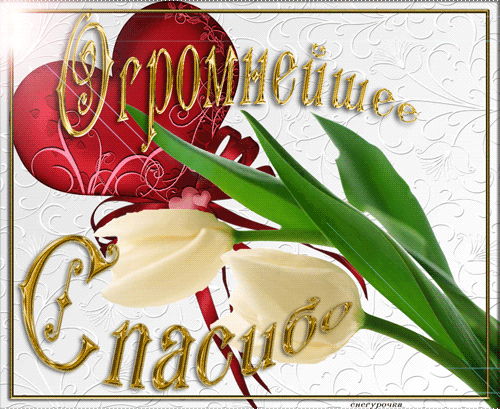 (+1) тема - Большое спасибо за поздравления))) Музыкальная открытка | Поздравления и тосты