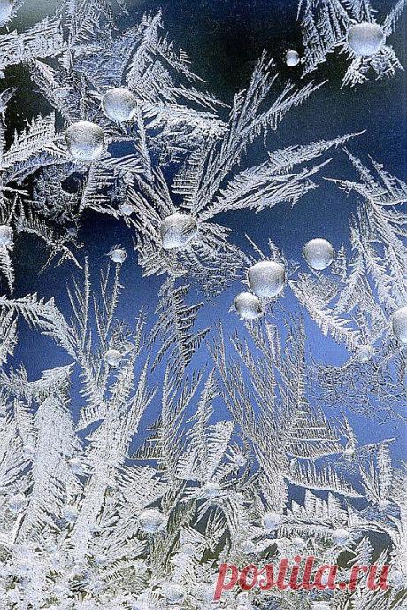 cristallgarden.jpg (534×800)