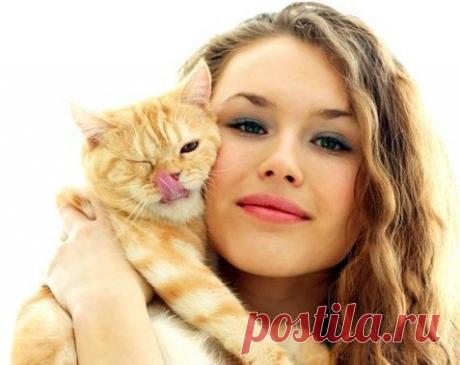 Она меня зовёт пушистым Котей,
И, улыбаясь, гладит мой живот.
От наслажденья выпускаю когти
И радуюсь, что так меня зовёт…
Как только холодильник открывает –
Я точно знаю, это для меня.
Она всегда на лапках приседает,
Шуршит пакетом, так меня дразня…
Потом нальёт мне в блюдечко сметану
И вкусный корм добавит, не скупясь.
Её бужу, бывает, очень рано,
Целую в нос, ни капли не стыдясь…
Бывает, уезжает вечерами…
А я так жду, скучаю у дверей.
Я так привык, что с ней мы жили сами,