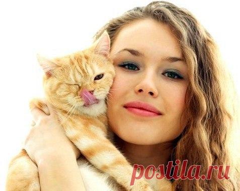 Она меня зовёт пушистым Котей,
И, улыбаясь, гладит мой живот.
От наслажденья выпускаю когти
И радуюсь, что так меня зовёт…
Как только холодильник открывает –
Я точно знаю, это для меня.
Она всегда на лапках приседает,
Шуршит пакетом, так меня дразня…
Потом нальёт мне в блюдечко сметану
И вкусный корм добавит, не скупясь.
Её бужу, бывает, очень рано,
Целую в нос, ни капли не стыдясь…
Бывает, уезжает вечерами…
А я так жду, скучаю у дверей.
Я так привык, что с ней мы жили сами,