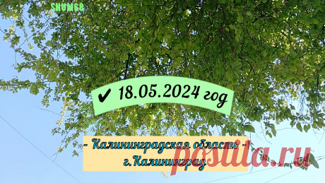 ✔ Калининградская область., г.Калининград, 18.05.2024 год