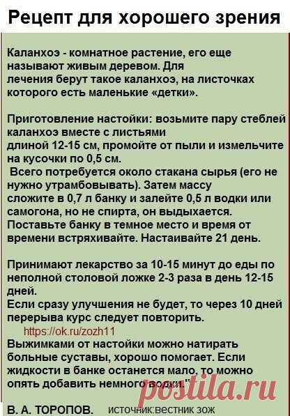 Каланхоэ для улучшения зрения